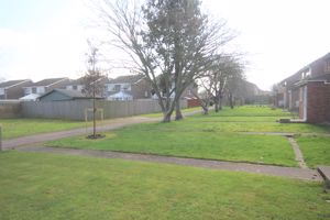 Front garden area and path- click for photo gallery